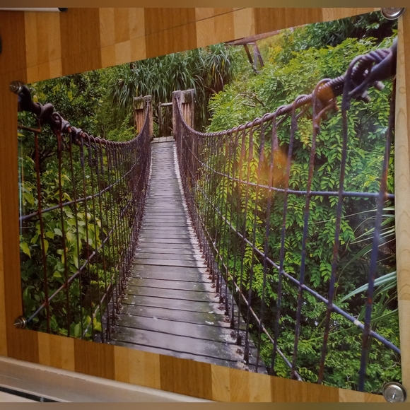 3 Huge Posters (55" x 39") + 1 reversible large + 1 reversible small - Picture 2 of 14